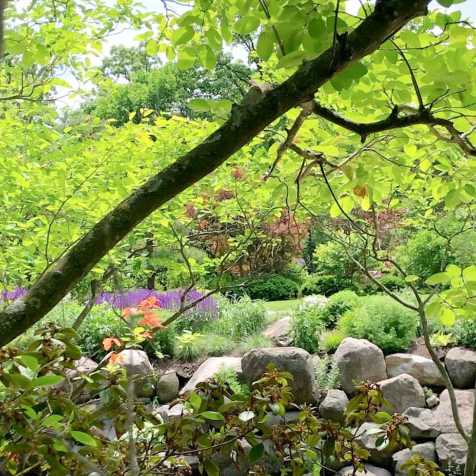 Lovely early June colors in a Japanese garden - Hello Lovely Studio.