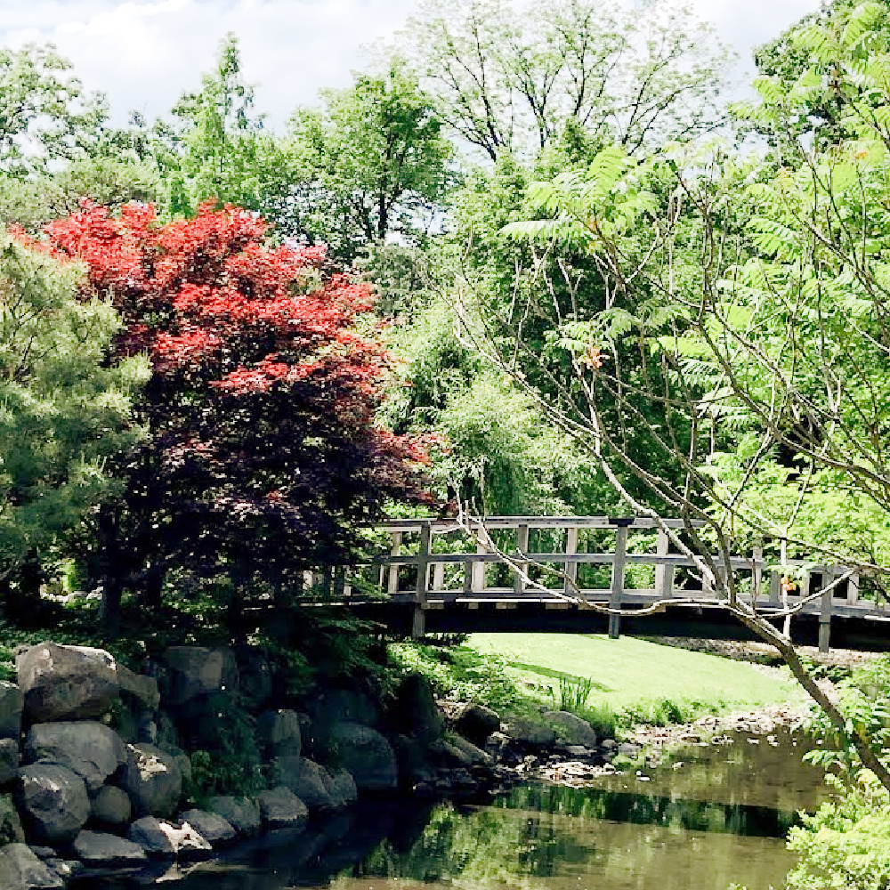 Bridge over a pond in a Japanese garden - Hello Lovely Studio.