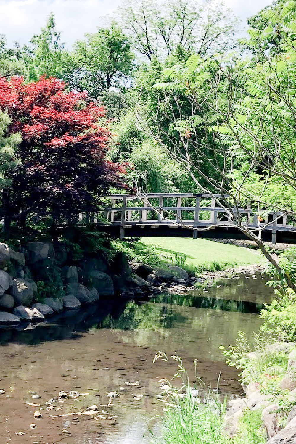 Bridge over a pond in a Japanese garden - Hello Lovely Studio.