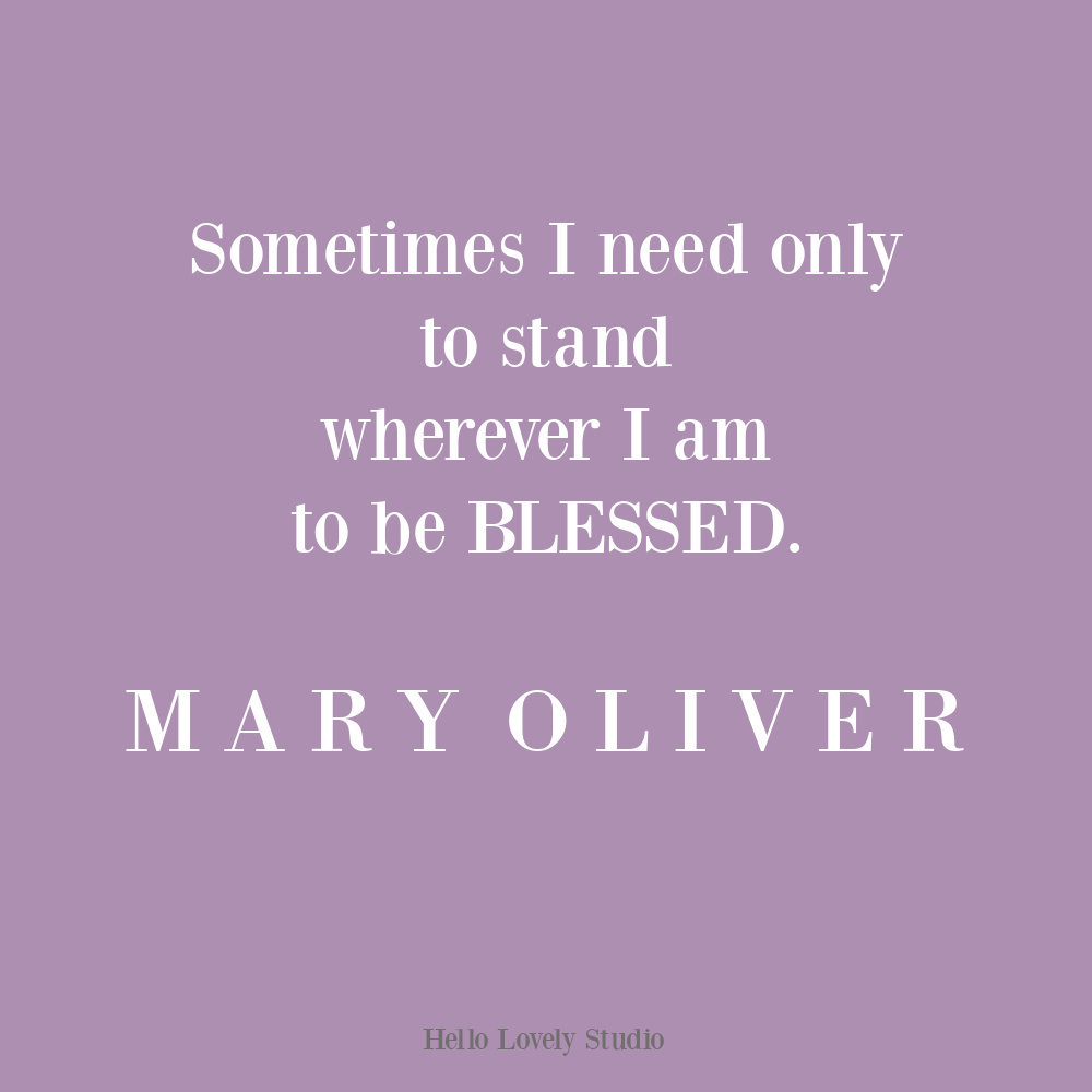 Mary Oliver quote about standing wherever I am to be blessed on Hello Lovely Studio. #maryoliverquotes #personalgrowthquotes #strugglequotes