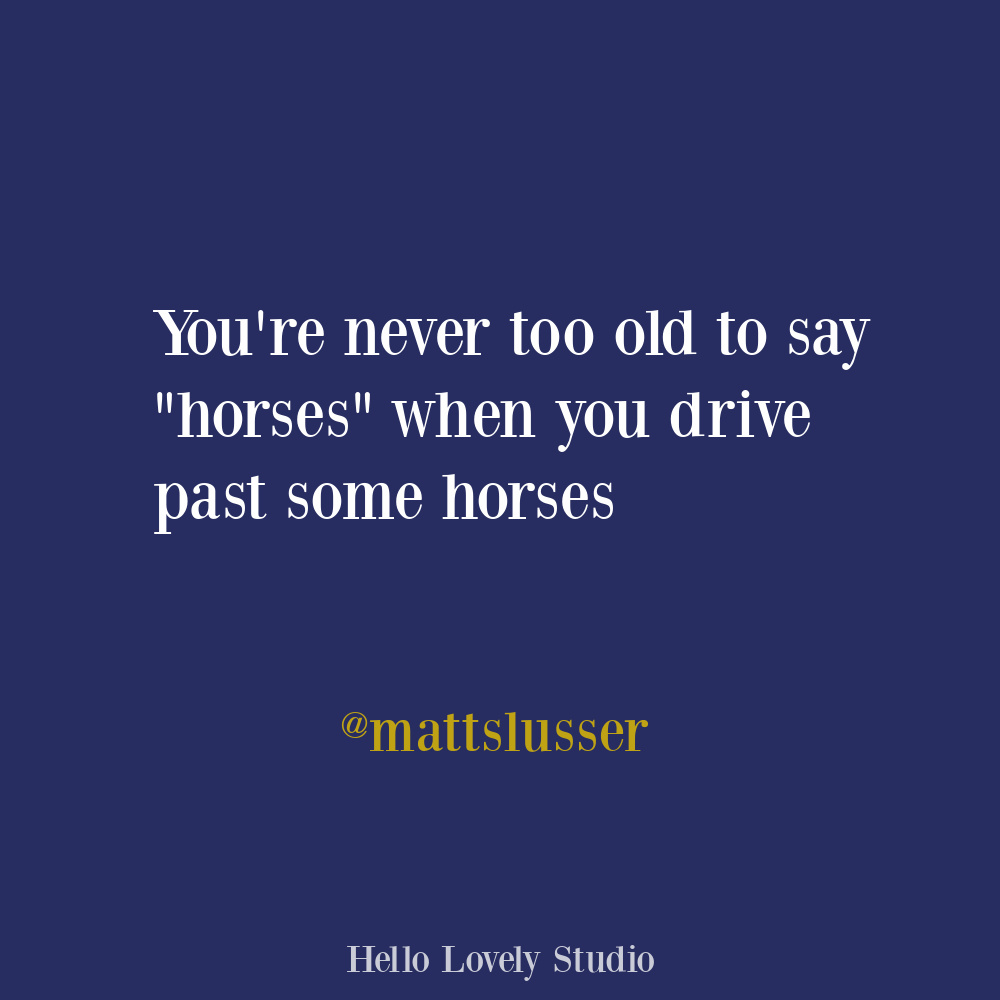 Poignant quote about horses and car rides on Hello Lovely. #funnyquotes #animalquotes