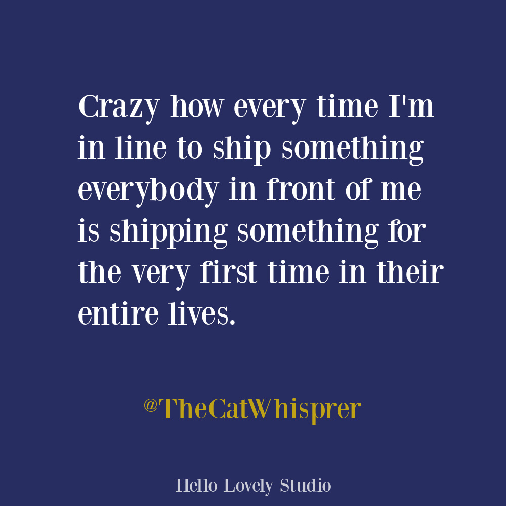 Sarcastic humor funny tweet about waiting in line on Hello Lovely. #funnytweets #humorquotes #waitingquotes