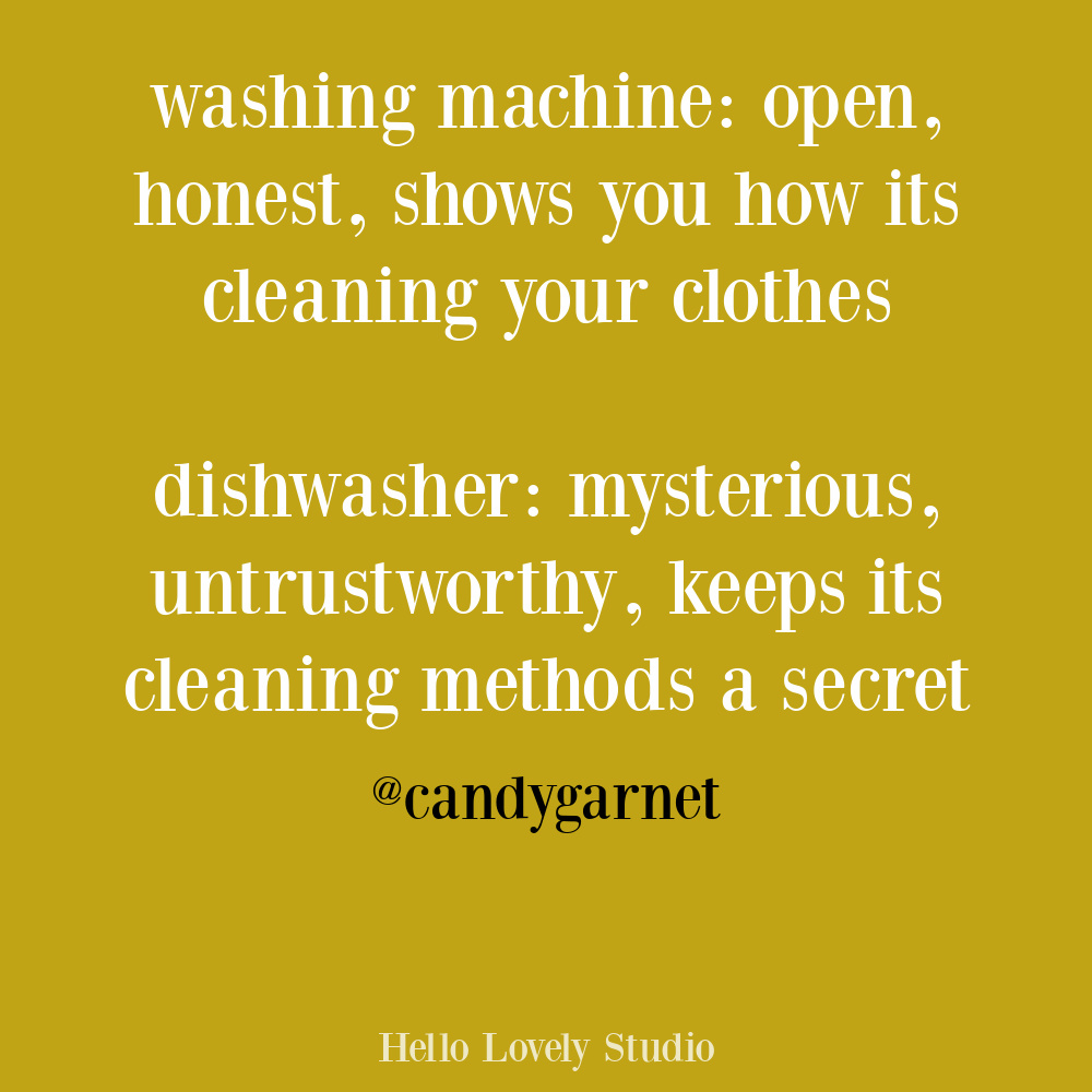 Silly one off humor quote tweet on Hello Lovely about appliances. #funnyquotes #oneoffhumor #dishwashers #funnytweets