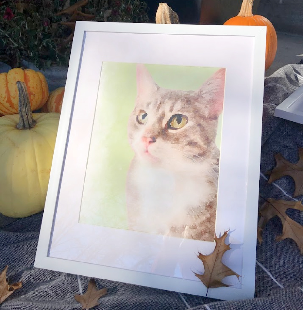 Custom pet portrait of cat with sage green background - Hello Lovely Studio. #catportrait #catwatercolor #petportraits