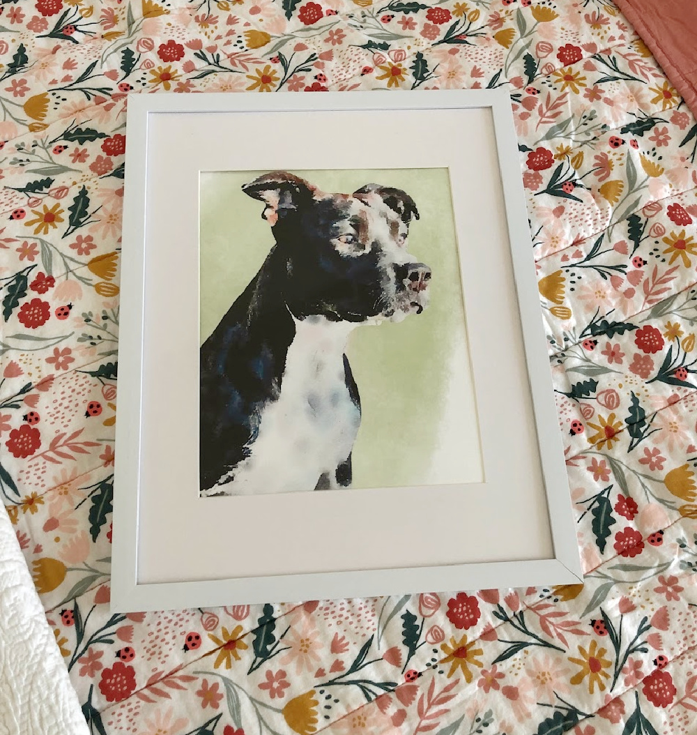 Custom pet portrait of pit bull dog with sage green background - Hello Lovely Studio. #dogportrait #dogwatercolor #petportraits