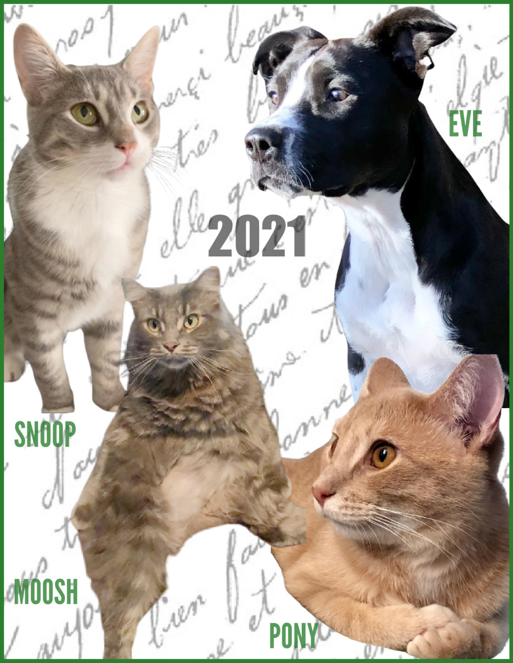 My three pet grandbabies on our holiday card in 2021 - Hello Lovely