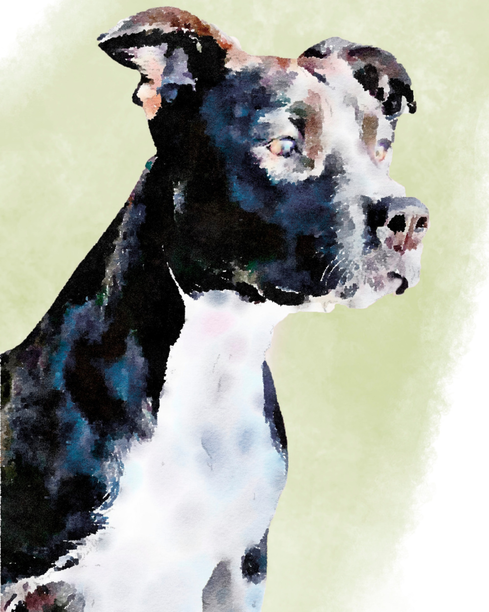 Pit bull watercolor custom pet portrait from minted - Hello Lovely Studio. #pitbullpainting #petpaintings #petwatercolors