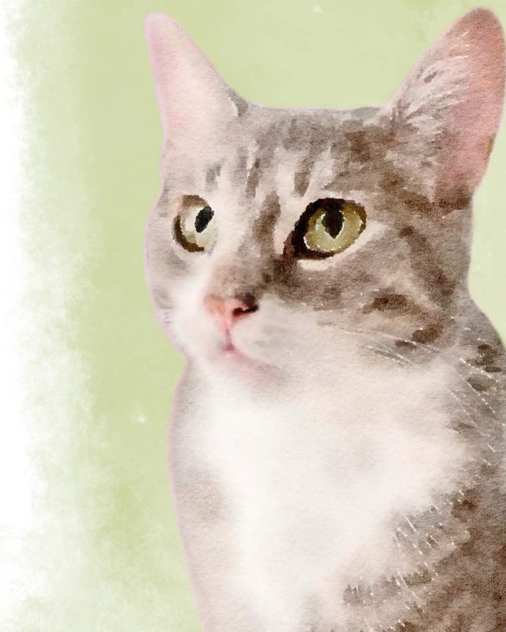 Cat watercolor painting is a custom pet portrait from minted - Hello Lovely Studio. #catwatercolor #petportrait #catpaintings