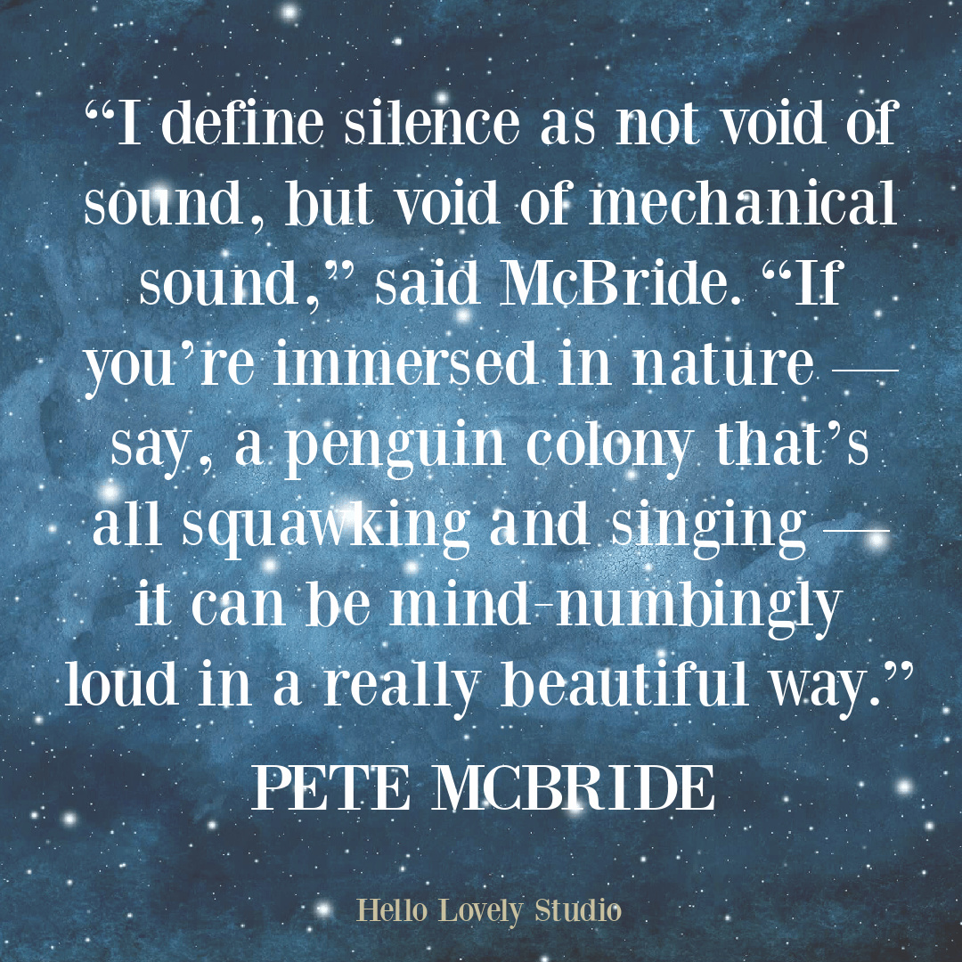 Silence quote from SEEING SILENCE by Pete McBride - Hello Lovely Studio. #naturequotes