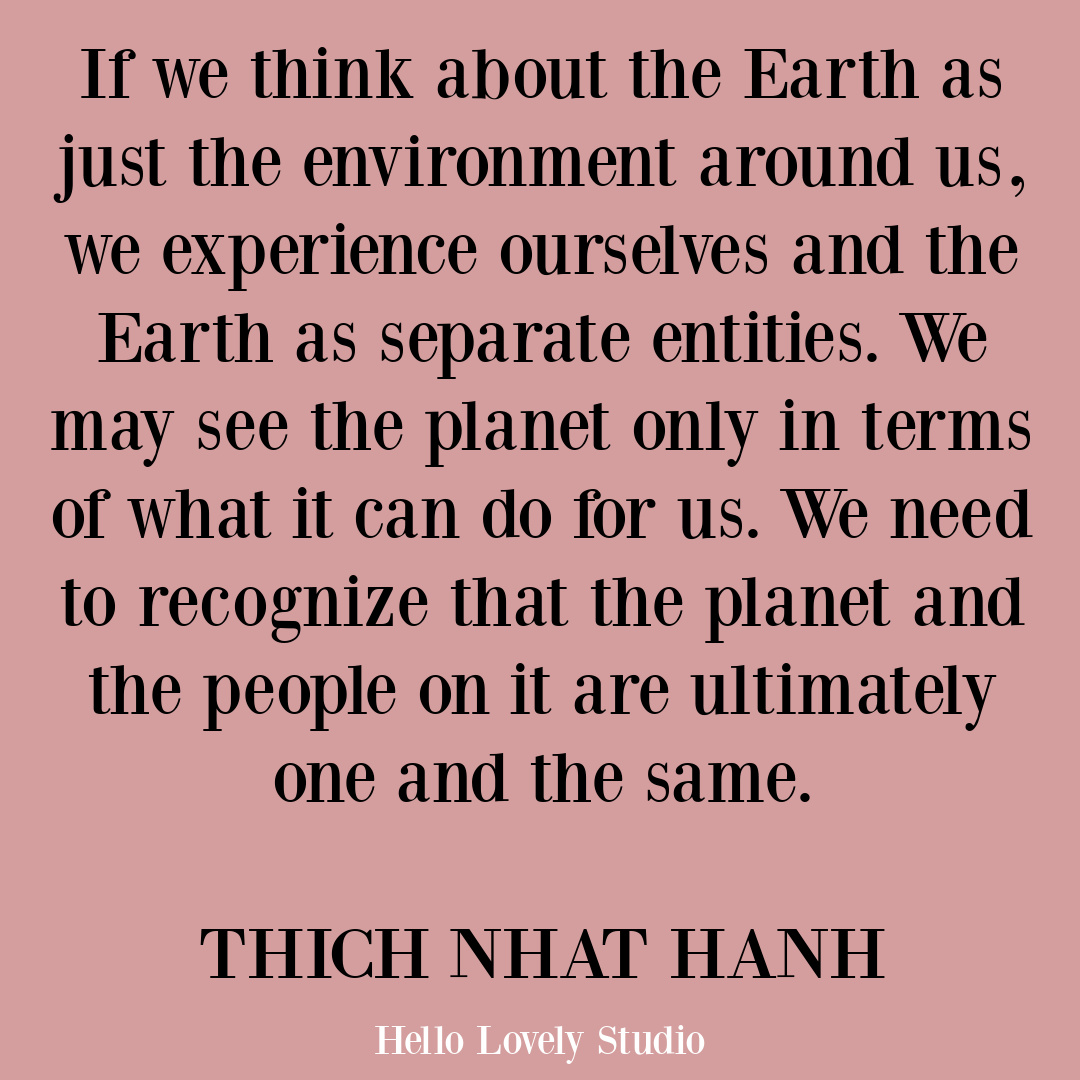 Thich Nhat Hanh quote about unity, earth, and consciousness on Hello Lovely. #thichnhathanhquotes #unityquotes #earthquotes