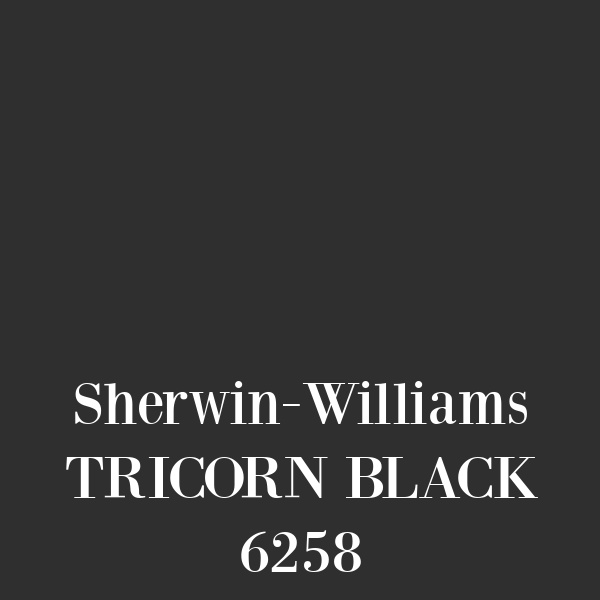 SW Tricorn Black 6258 paint color swatch. #blackpaintcolors #tricornblack