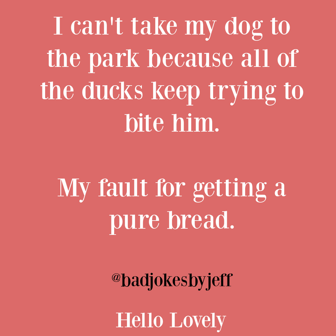 Funny dad tweet and dad jokes on Hello Lovely Studio. #parentinghumor #dadjokes #funnydadtweets #fathersday