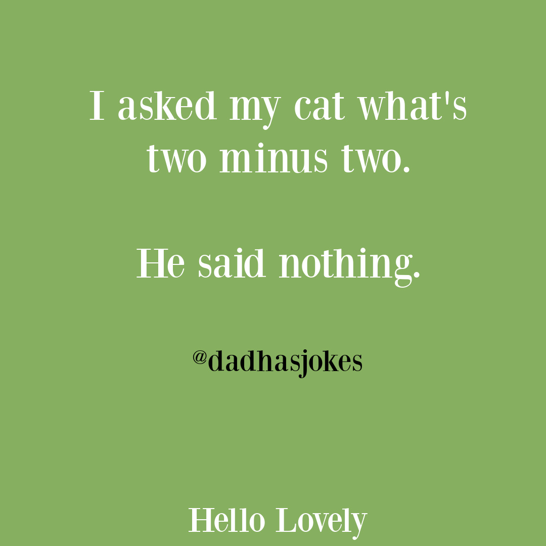 Funny dad tweet and dad jokes on Hello Lovely Studio. #parentinghumor #dadjokes #funnydadtweets #fathersday