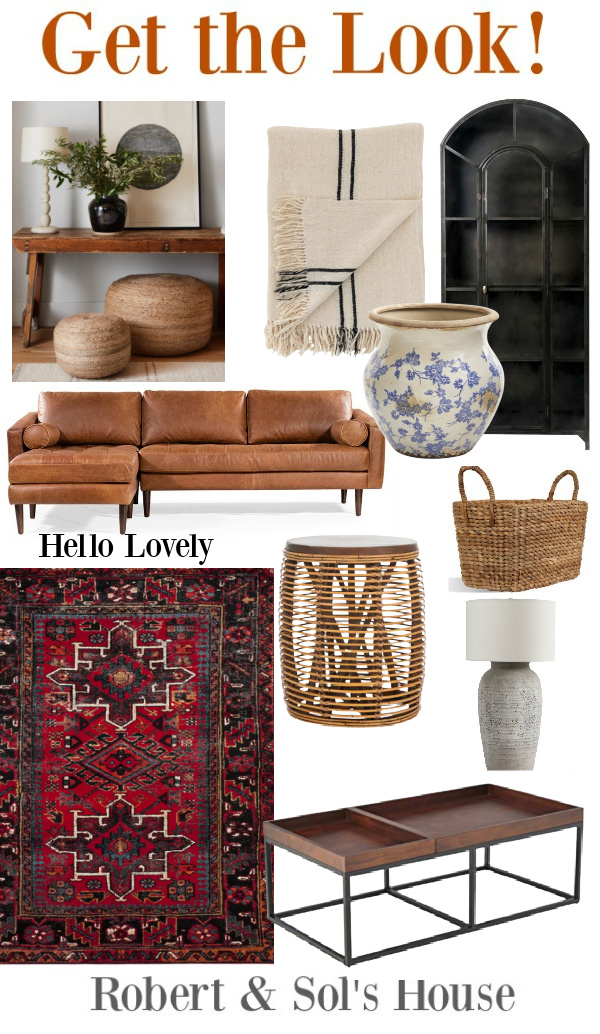 Robert and Sol's House: Get the Look! [Living Room] - Hello Lovely