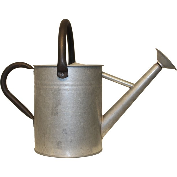 Aged galvanized watering can adds so much charm to the garden in addition to working hard for watering.