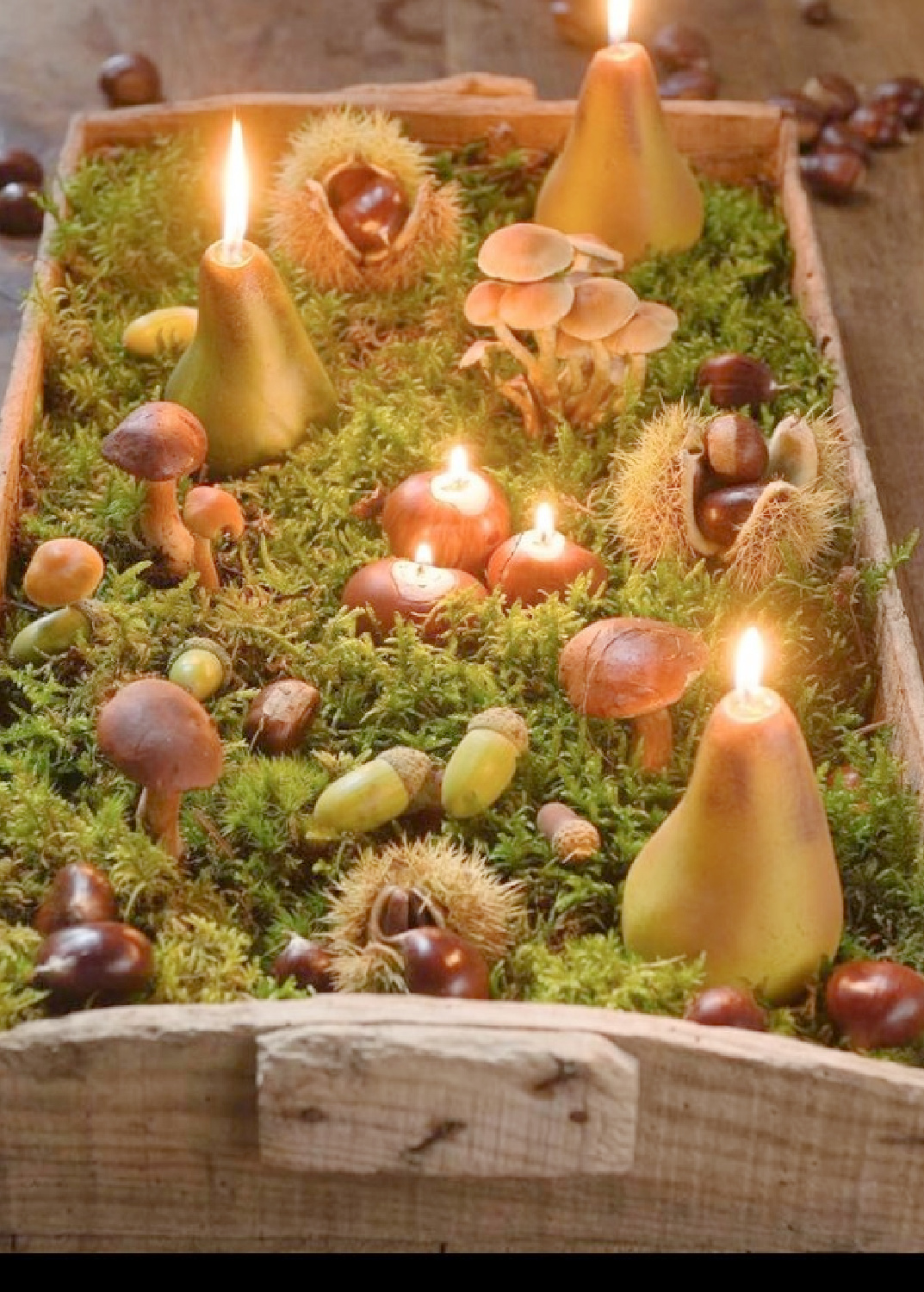 Charming rustic woodland crate filled with moss, pear candles, mushrooms and natural decor - Le Moulin Bregeon. #frenchchristmas #rusticchristmas #frenchcountrydecor