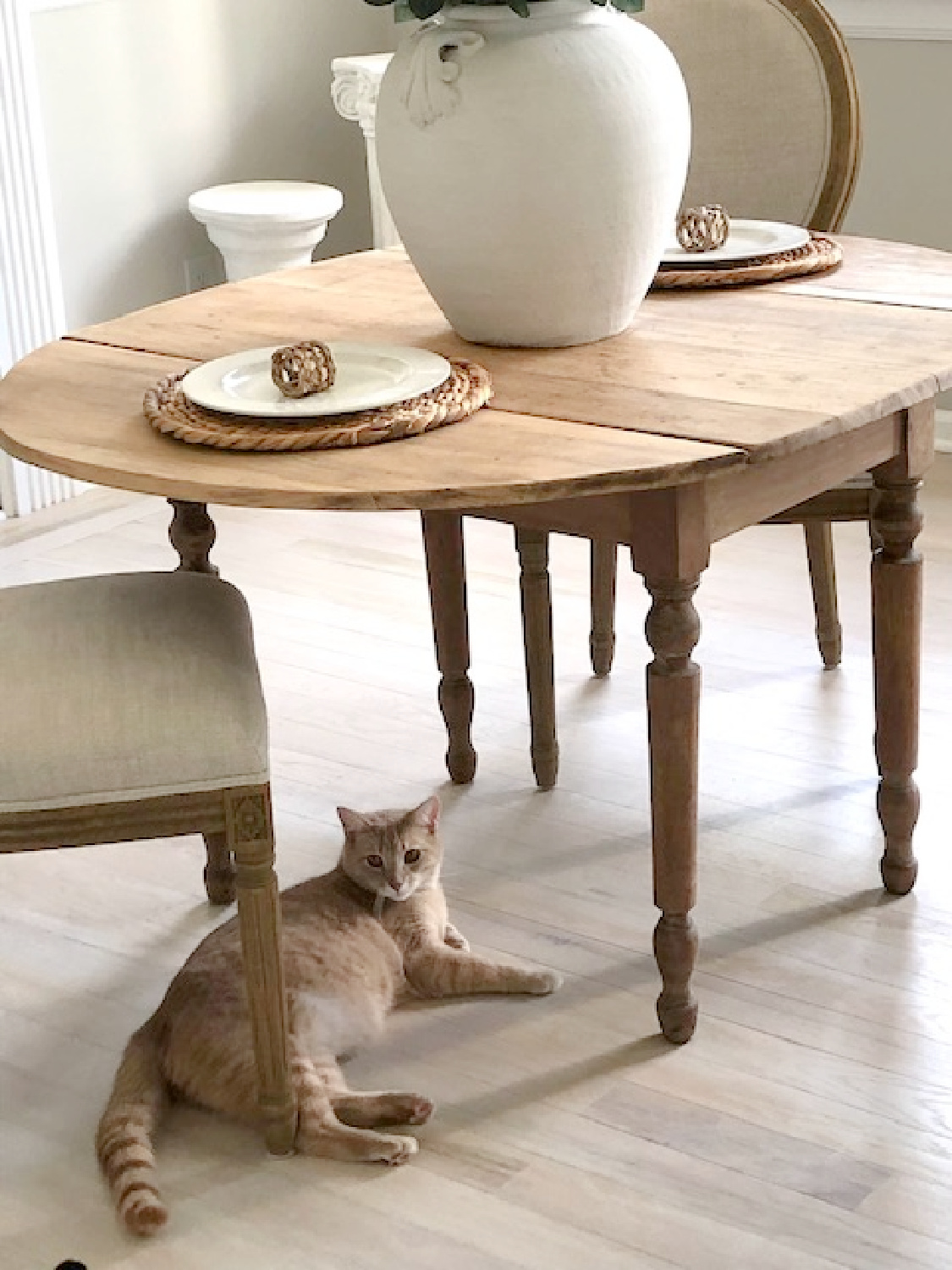 Primitive dining table, whitewashed hardwood flooring and tabby under table - Hello Lovely Studio. #tabbycats #diningroomtable
