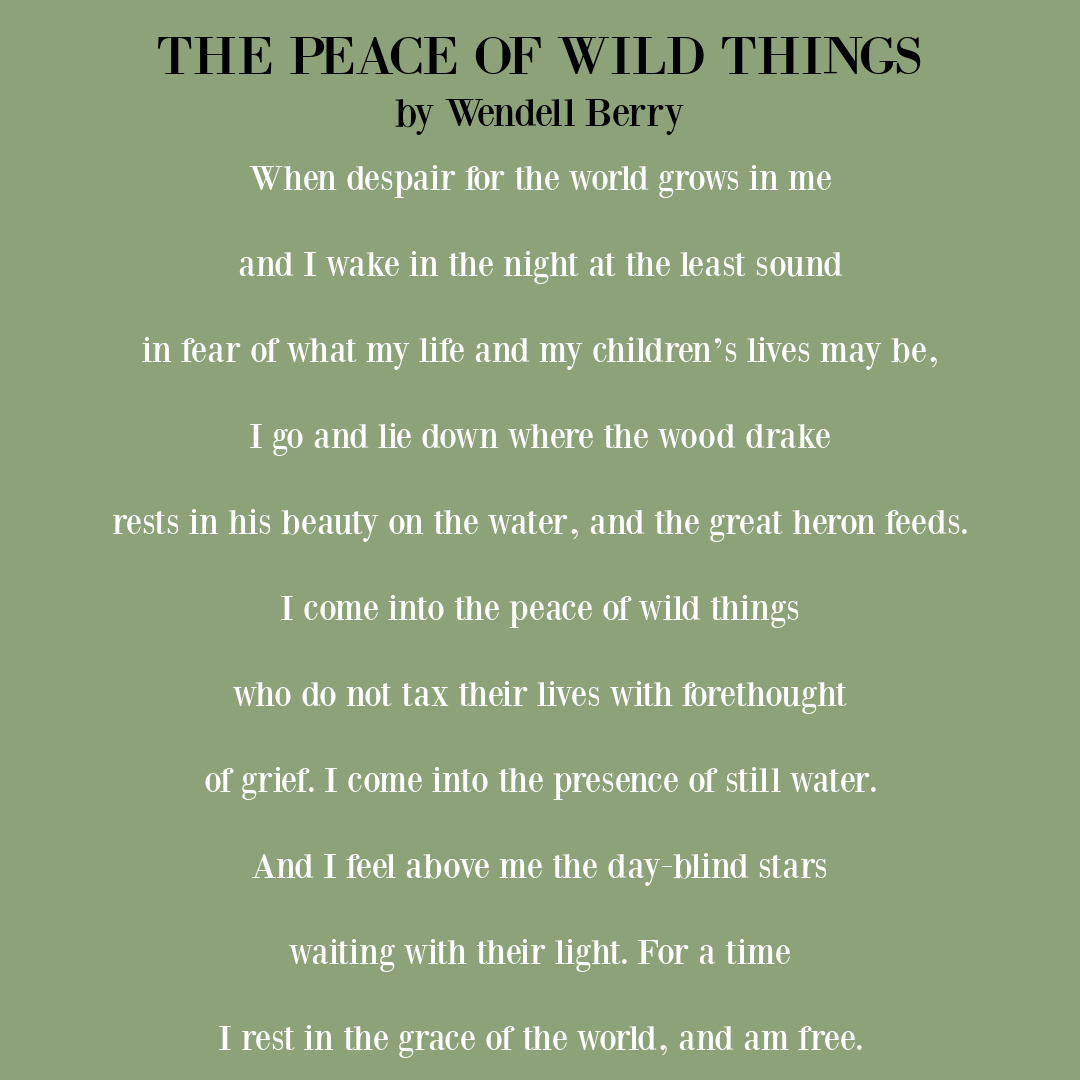Wendell Berry poem THE PEACE OF WILD THINGS on Hello Lovely. #wendellberry #peacepoetry