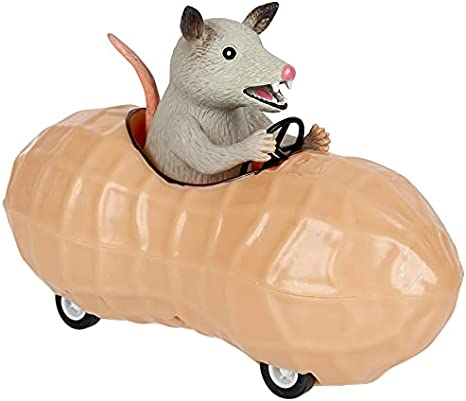 Possum in a Peanut Pull Back Car