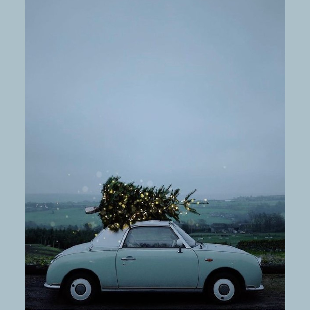 Dreamy Christmas inspiration - Christmas tree with lights on roof of European car in countryside - @me_and_orla. #holidayvibes #christmastreegoals