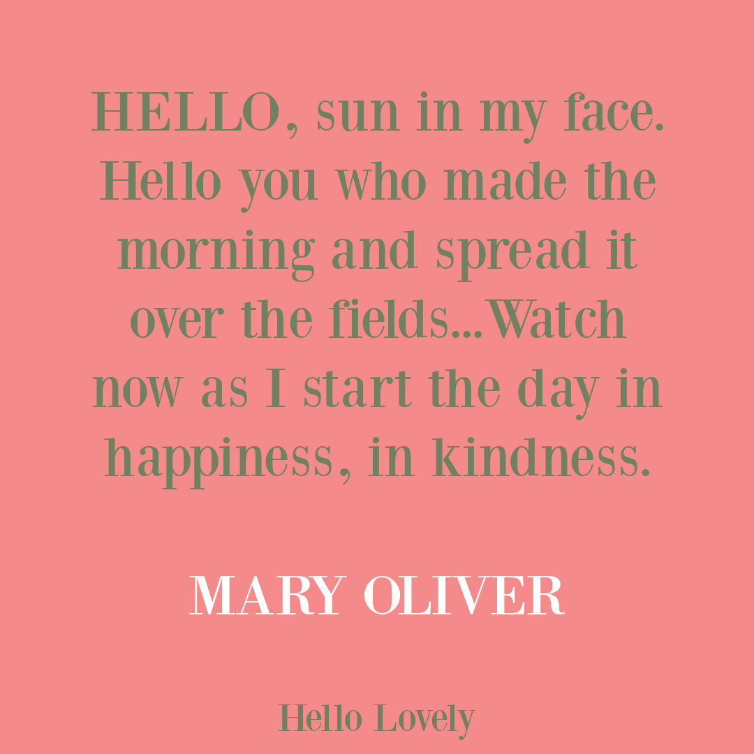 Mary Oliver short poetry excerpt on Hello Lovely Studio. #maryoliverpoem