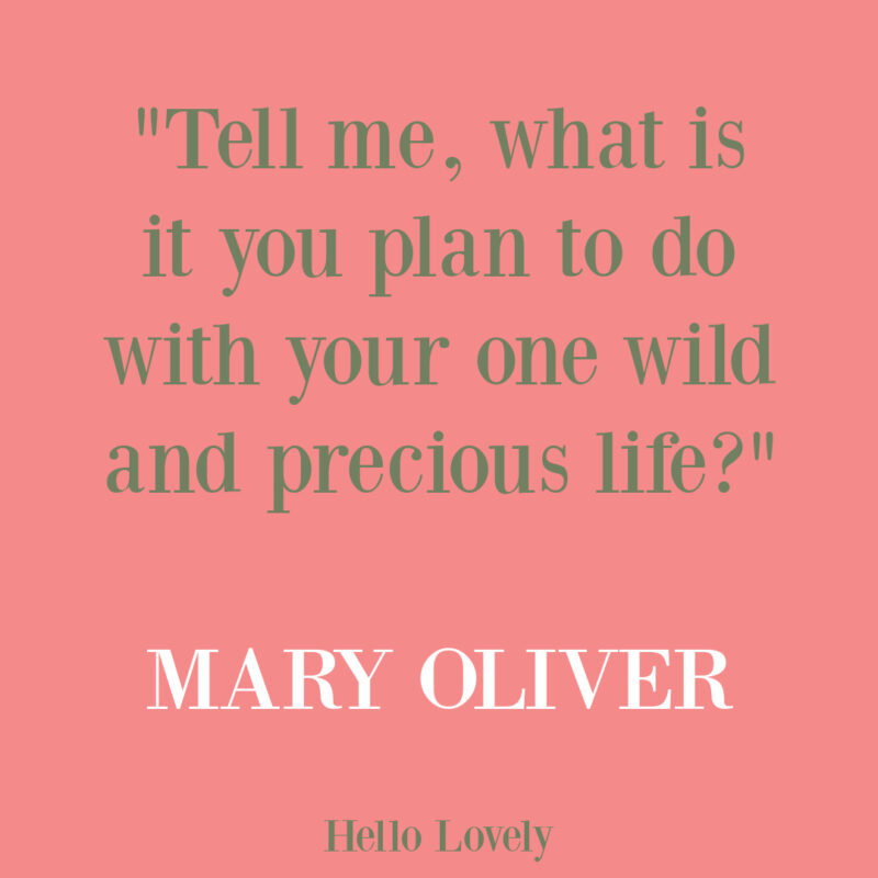 CELEBRATING HOME by James T. Farmer III Thrills the Senses & Warmed Me