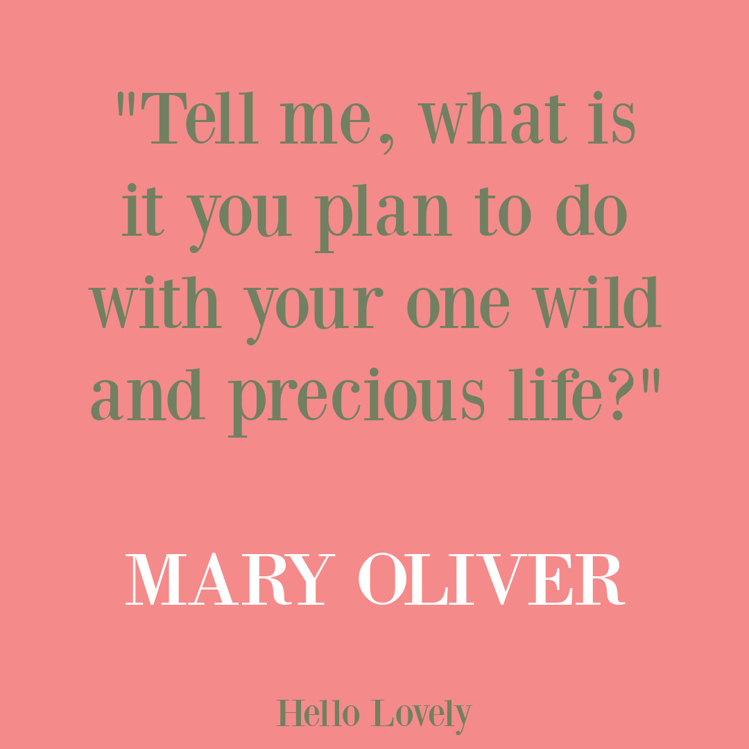 Mary Oliver short poem on Hello Lovely Studio. #maryoliverpoem #maryoliver