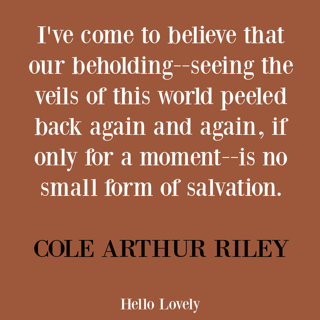 Quote about awe and seeing by Cole Arthur Riley in THIS HERE FLESH. #inspirationalquotes #contemplativequotes