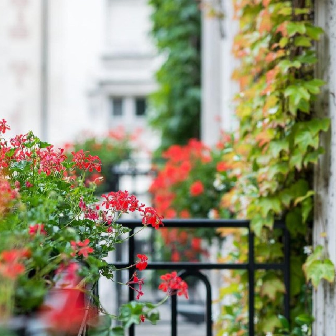 My favorite luxurious boutique hotel in Paris: Pavillon de la Reine. #parishotels #maraishotel #boutiquehotels