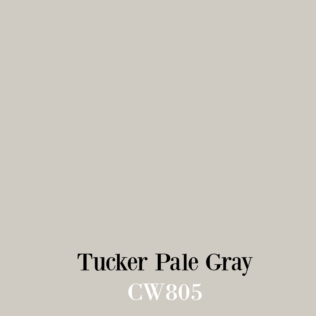 Tucker Pale Gray CW805 Paint Color Swatch