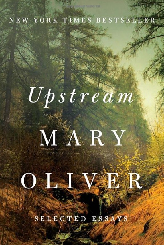 Upstream by Mary Oliver, book cover