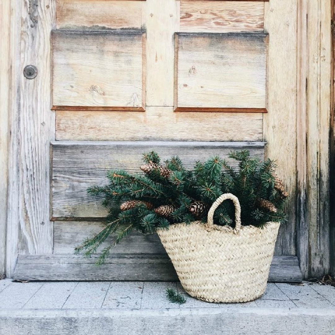 Rustic French farmhouse Christmas vignette with market basket filled with greenery and pinecones at a scrubbed wood door. Vivi et Margot. #frenchchristmas #frenchfarmhouse #frenchcountrychristmas #vivietmargot