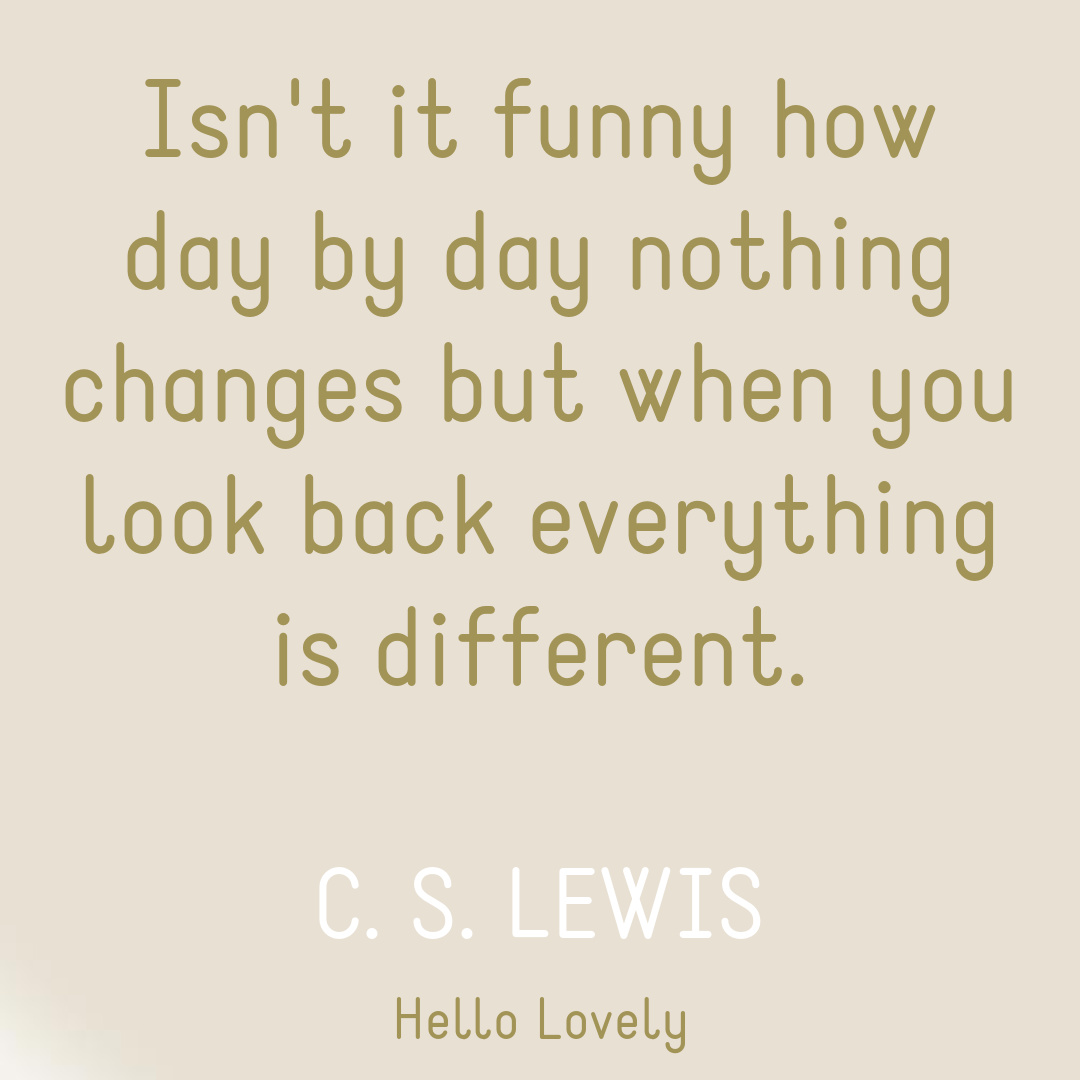 C. S. Lewis quote: isn't it funny how day by dy nothing changes...on Hello Lovely.