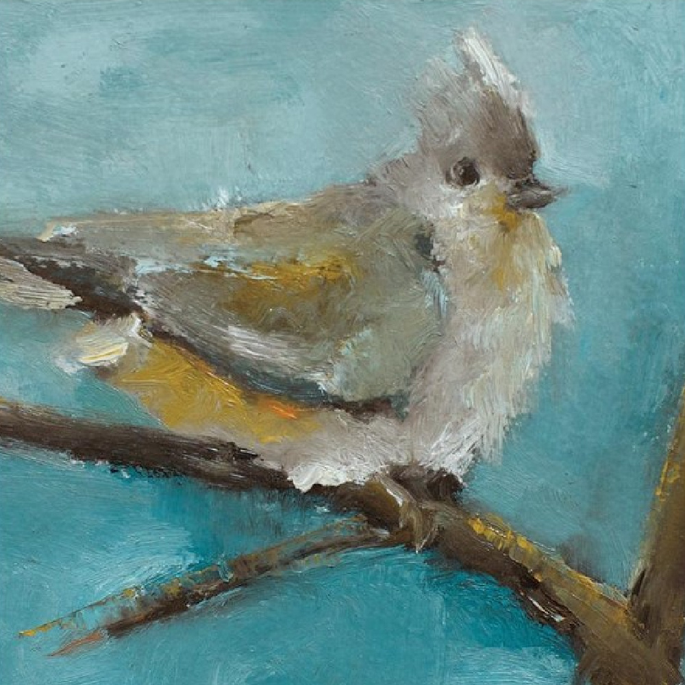 Beautiful robin fine art print by Anne Neilson #robinpainting #anneneilson