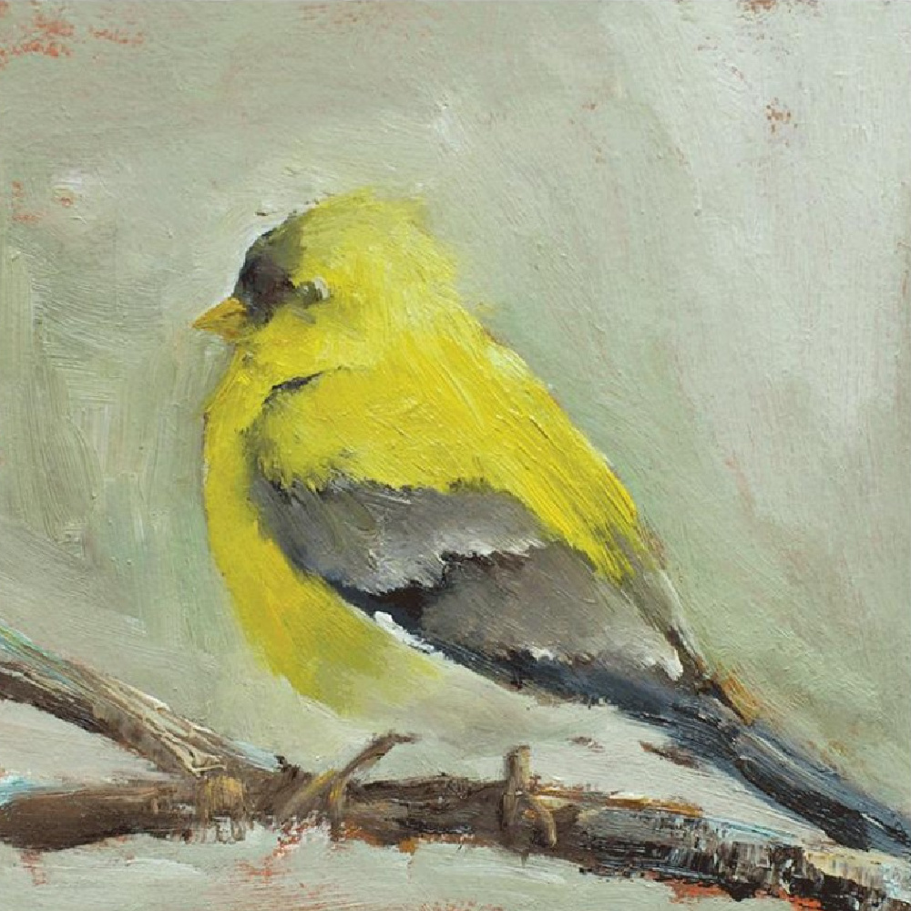 Songbird fine art print by Anne Neilson. #birdpainting #songbirds