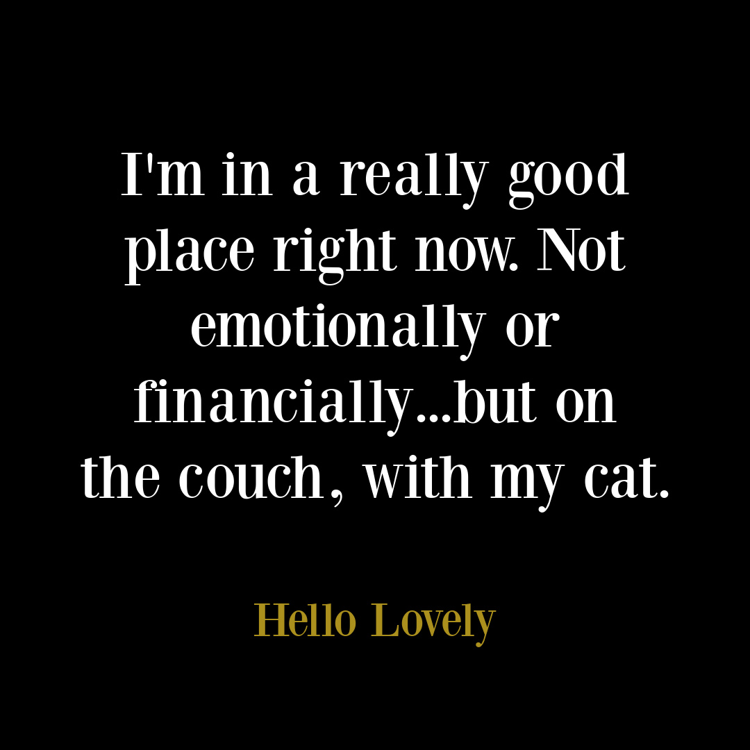 Funny cat quote on Hello Lovely Studio. #catquotes #cathumor