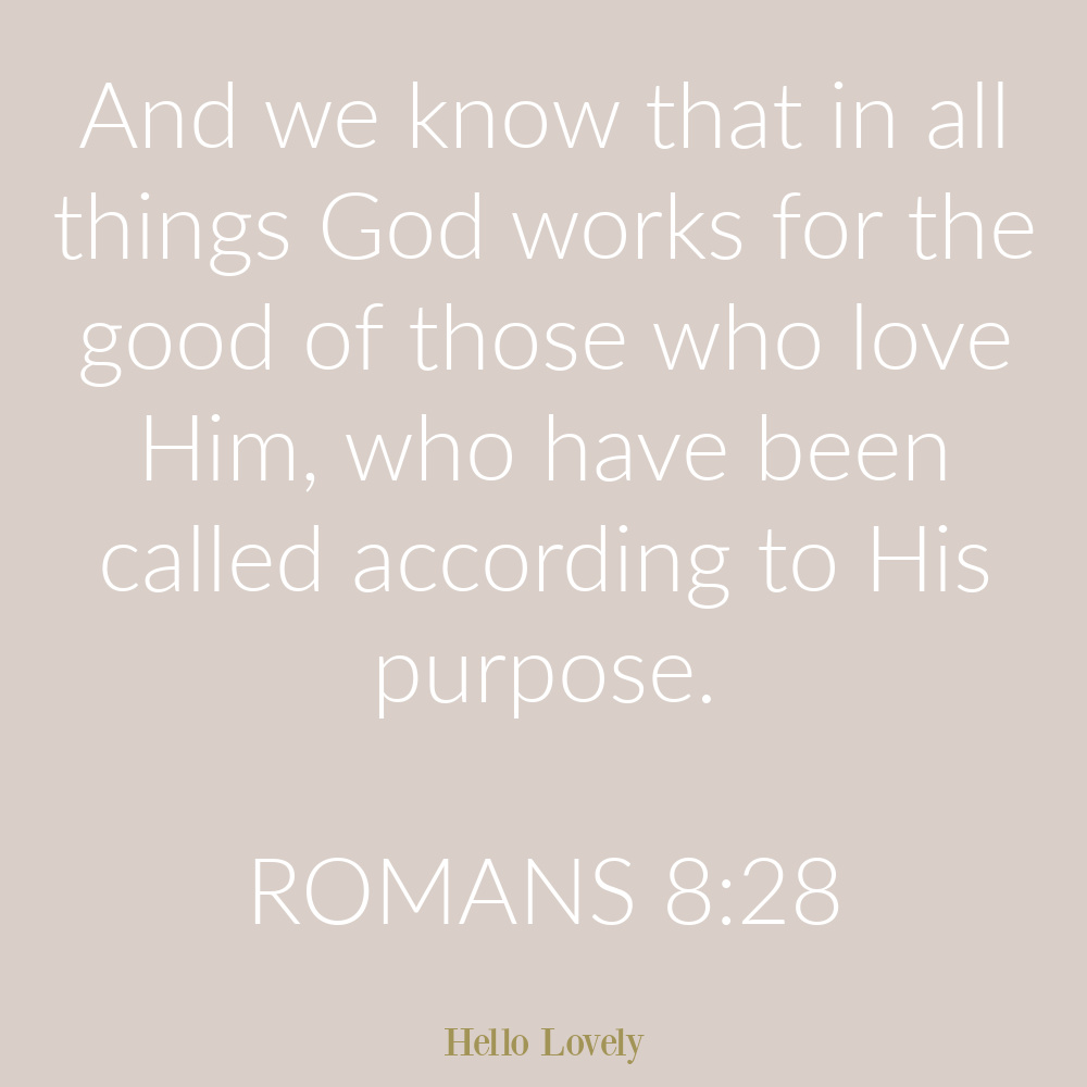 Romans 8:28 scripture with comfort on Hello Lovely Studio. #romans8