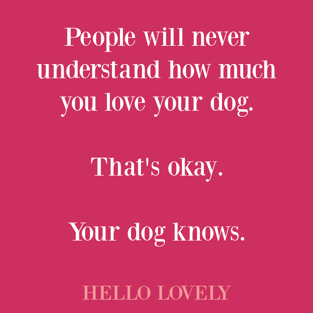 Dog quote on Hello Lovely Studio. #dogquotes #petquotes