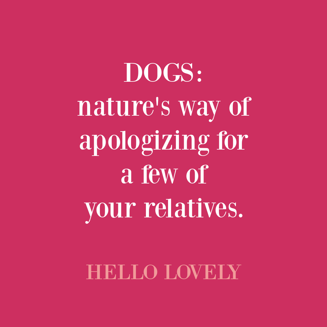 Dog quote on Hello Lovely Studio. #dogquotes #petquotes