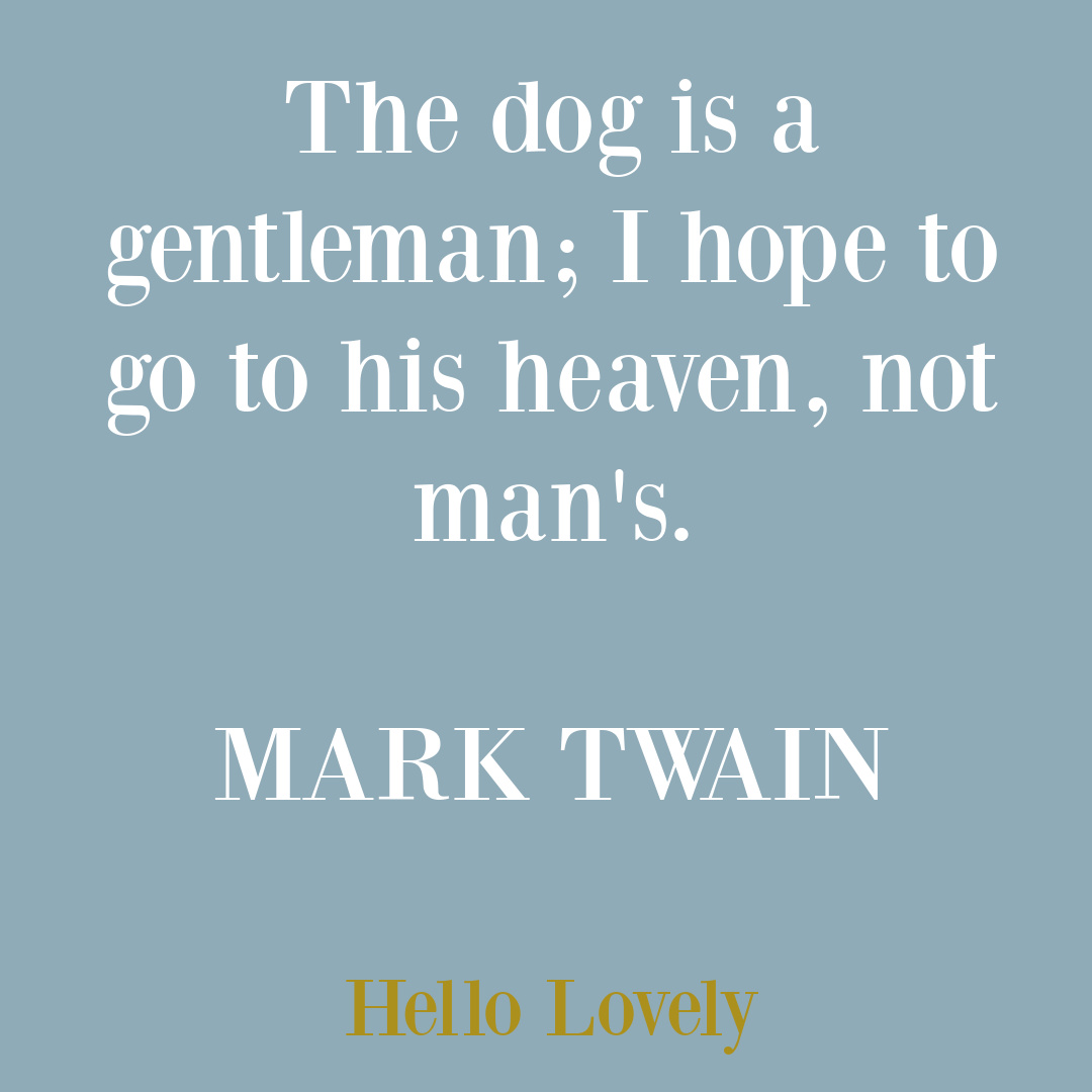 Dog quote on Hello Lovely Studio. #dogquotes #petquotes