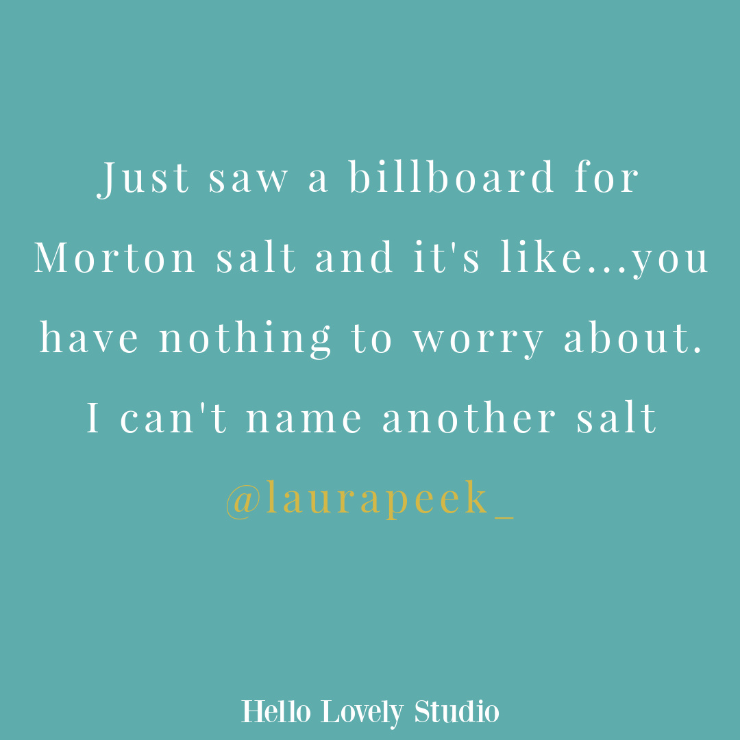 Silly tweet and whimsical humor on Hello Lovely Studio.