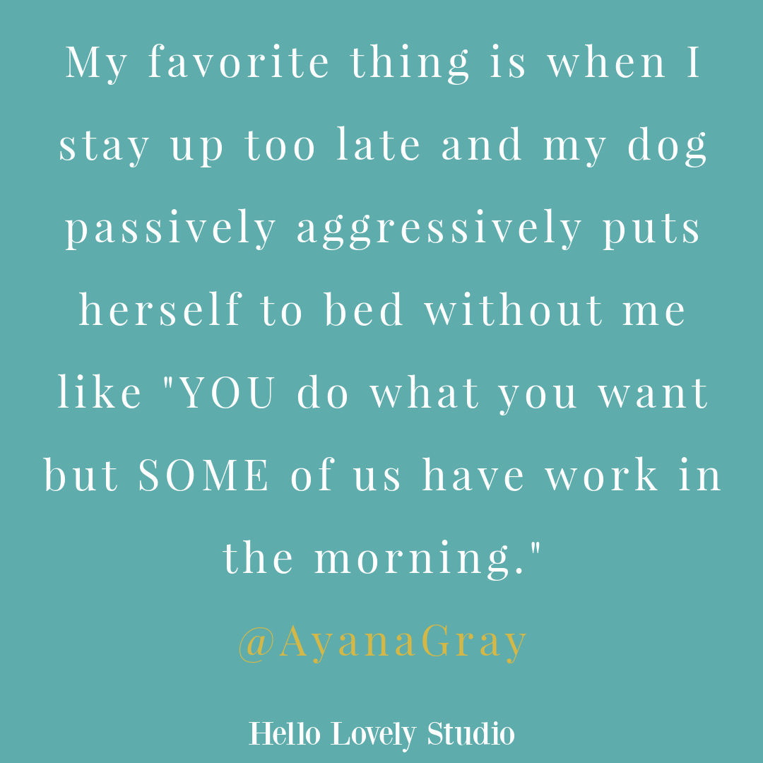 Silly tweet and whimsical humor on Hello Lovely Studio.