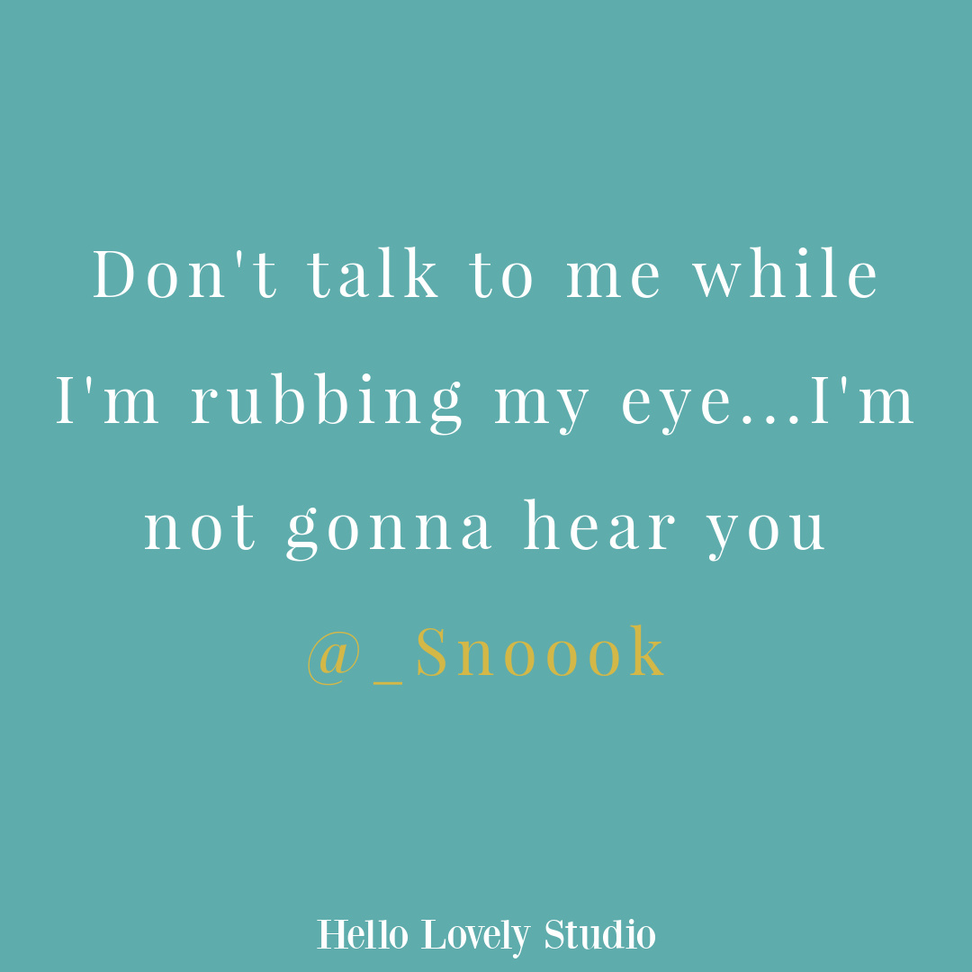 Silly tweet and whimsical humor on Hello Lovely Studio.