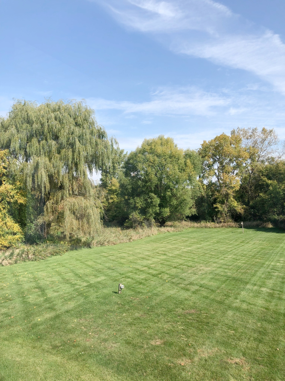 Backyard backs to a forest preserve - Hello Lovely Studio.