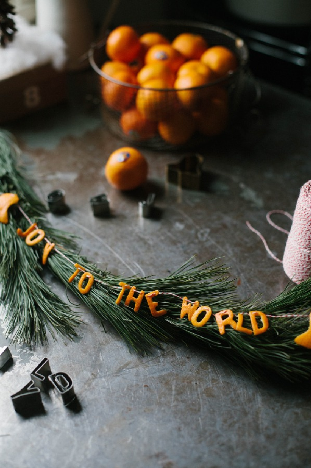 Joy to the World citrus garland from clementines - @adaiysomething.