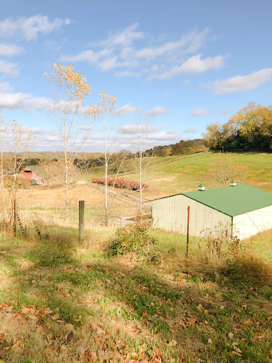 Beautiful fall scenery and rolling landscape in Williamson County, TN near High Meadow Alpacas.