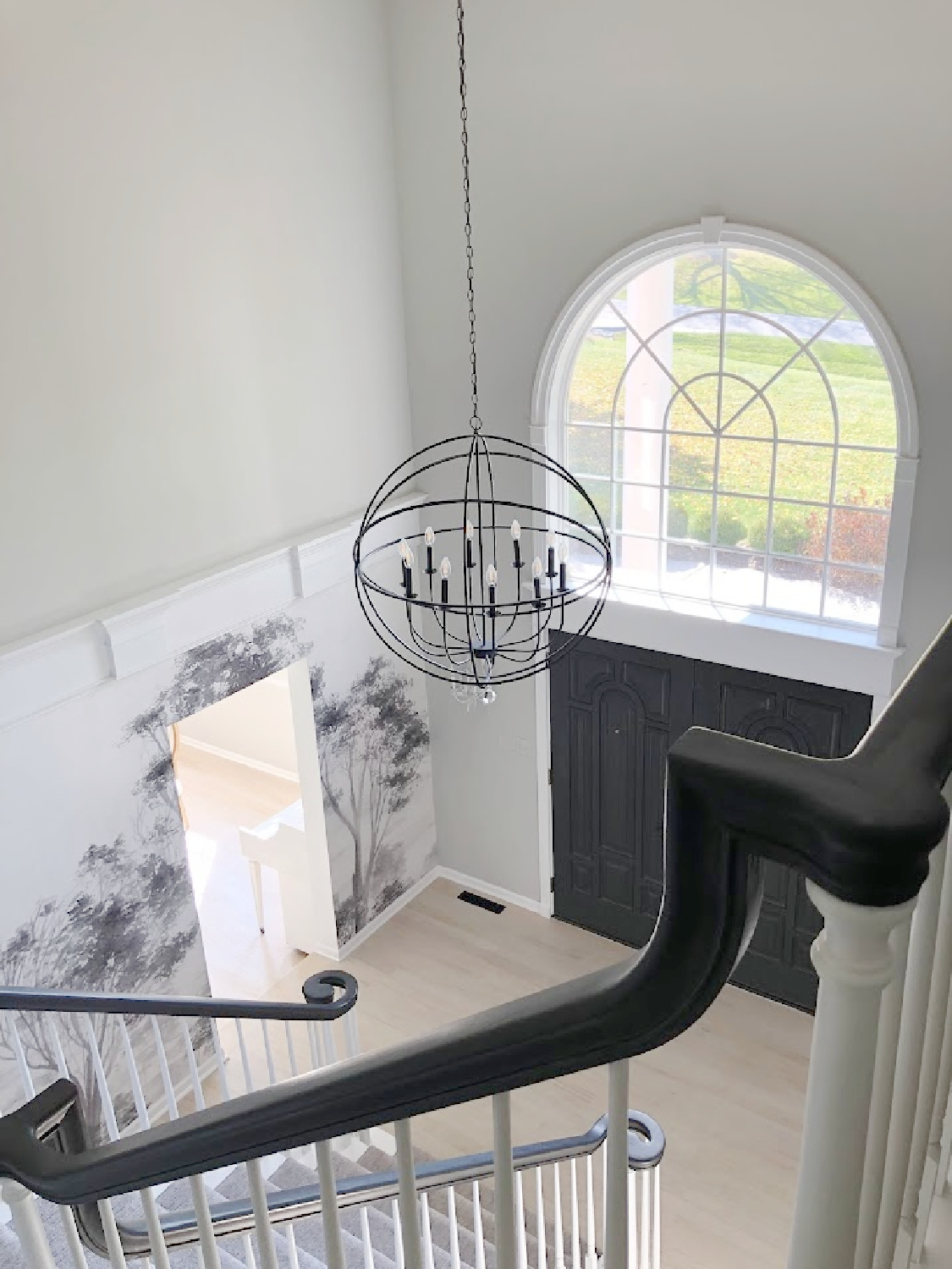 Renovated entry with dark gray doors (SW Carbonized), walls painted SW Repose Gray, tree mural (Photowall), and greyed oak hardwoods - Hello Lovely Studio.