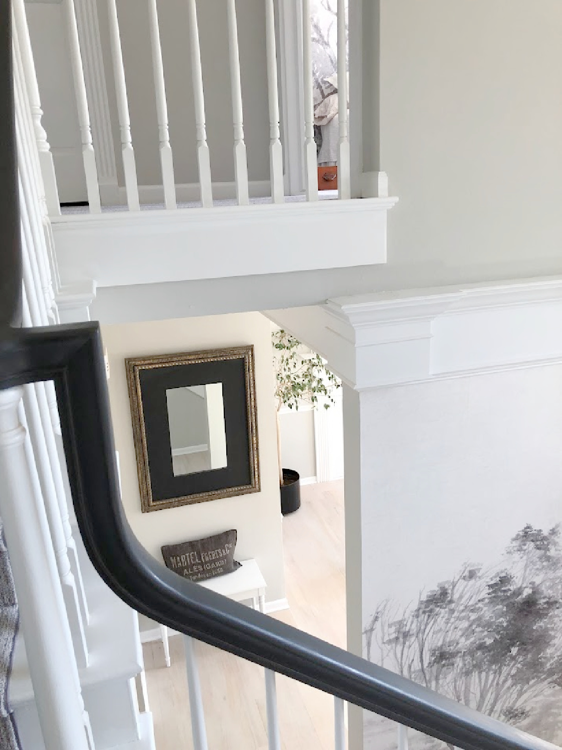 Renovated entry with dark gray doors (SW Carbonized), walls painted SW Repose Gray, tree mural (Photowall), and greyed oak hardwoods - Hello Lovely Studio.