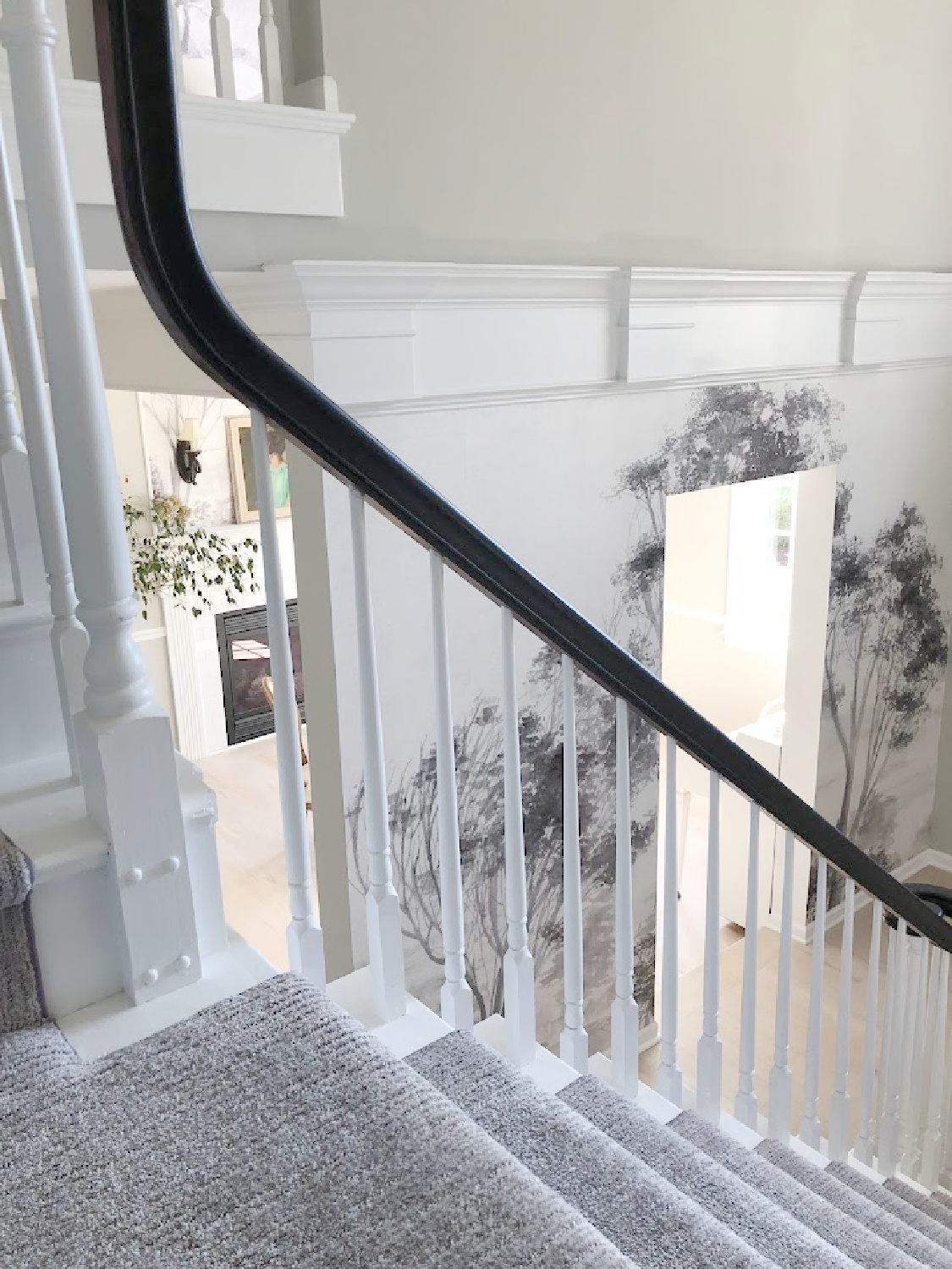 Renovated entry with dark gray doors (SW Carbonized), walls painted SW Repose Gray, tree mural (Photowall), and greyed oak hardwoods - Hello Lovely Studio.