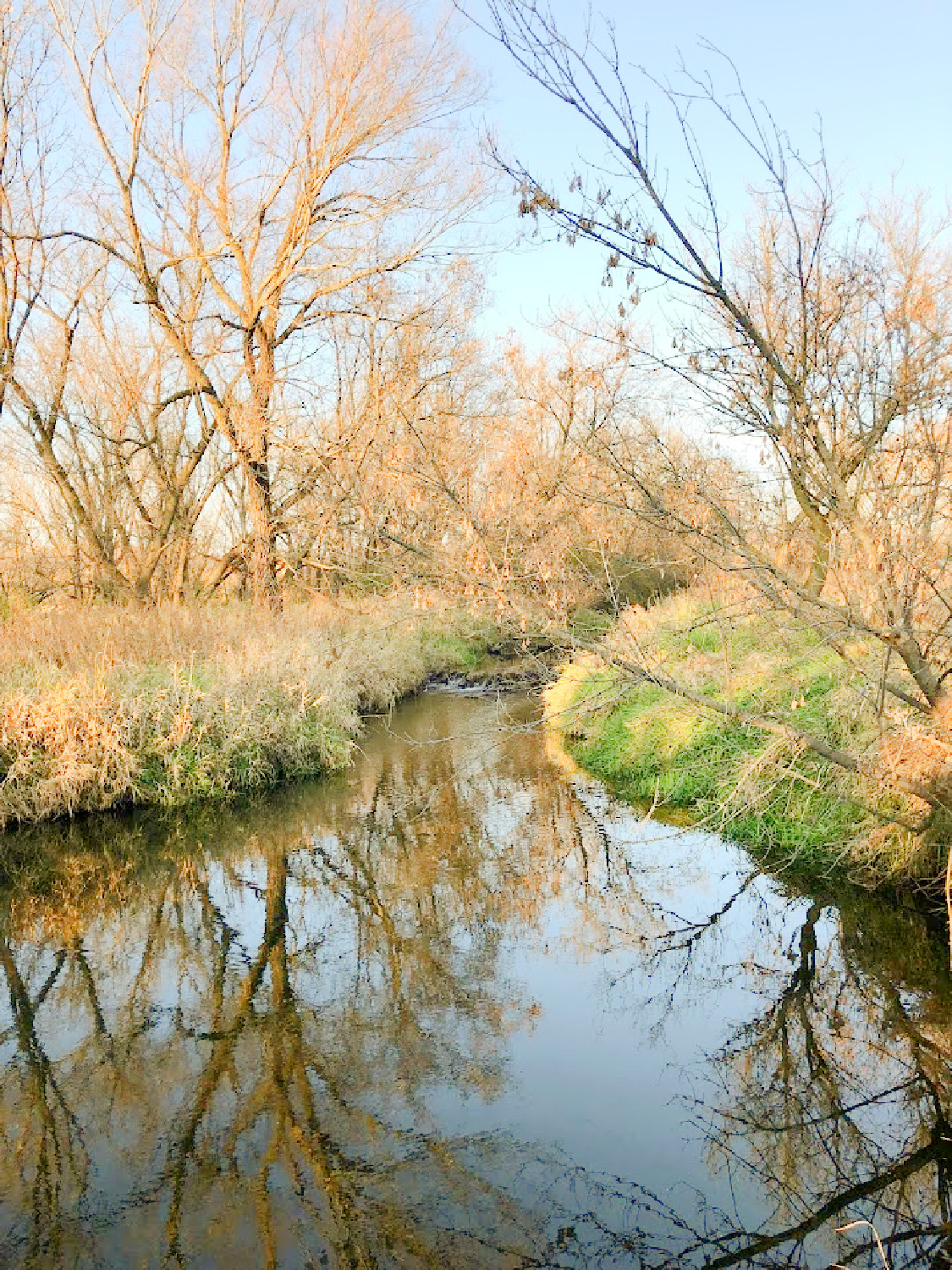 Creek in our backyard in fall - Hello Lovely Studio.